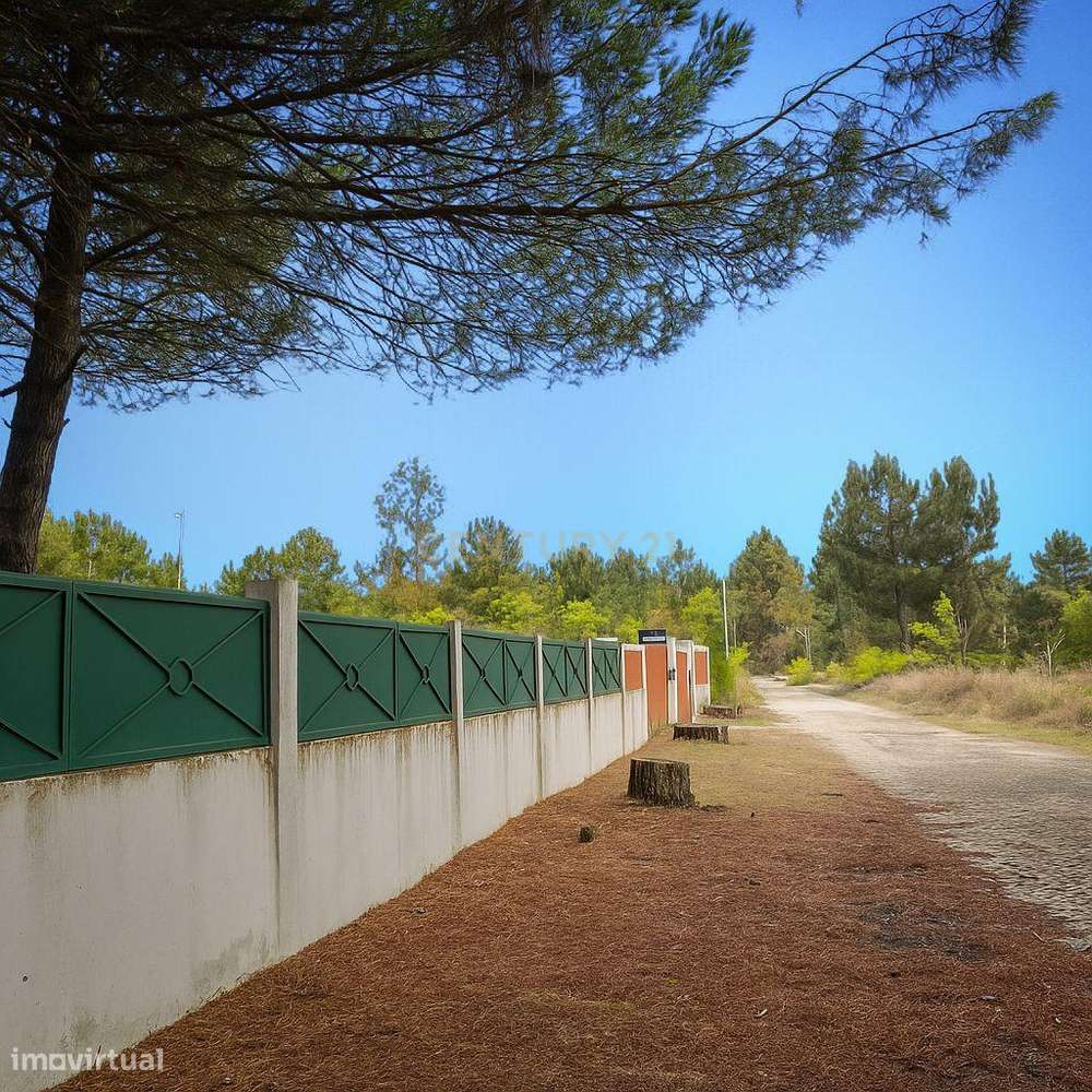 Moradia térrea no Tramagal - Grande imagem: 5/31