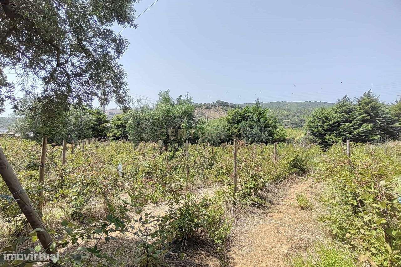 Terreno Multiusos com 3360m² junto às auto-estradas em Alverca do Riba - Grande imagem: 4/8