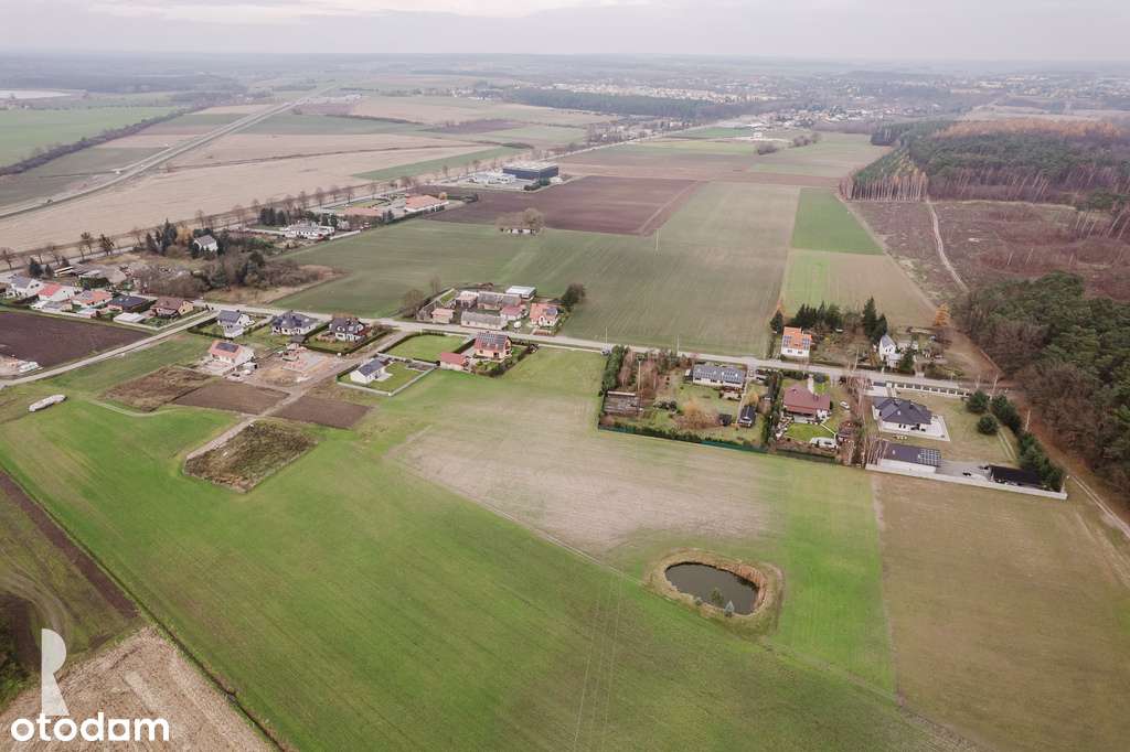 Działka budowlana przy lesie | Bolechowo | - Pełny obrazek: 4/8