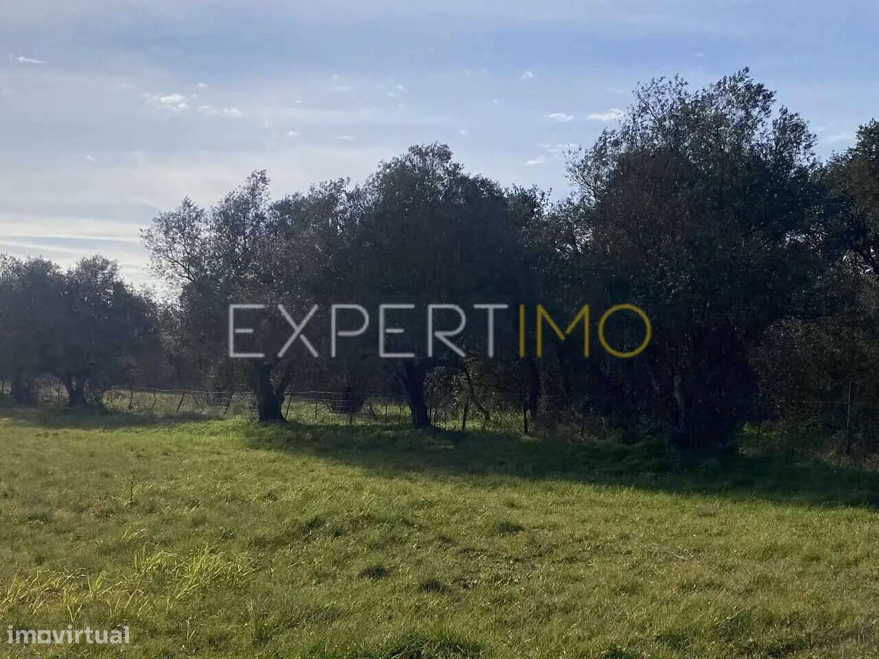 Quinta V3 com casa Vale de Santarém - Grande imagem: 5/21