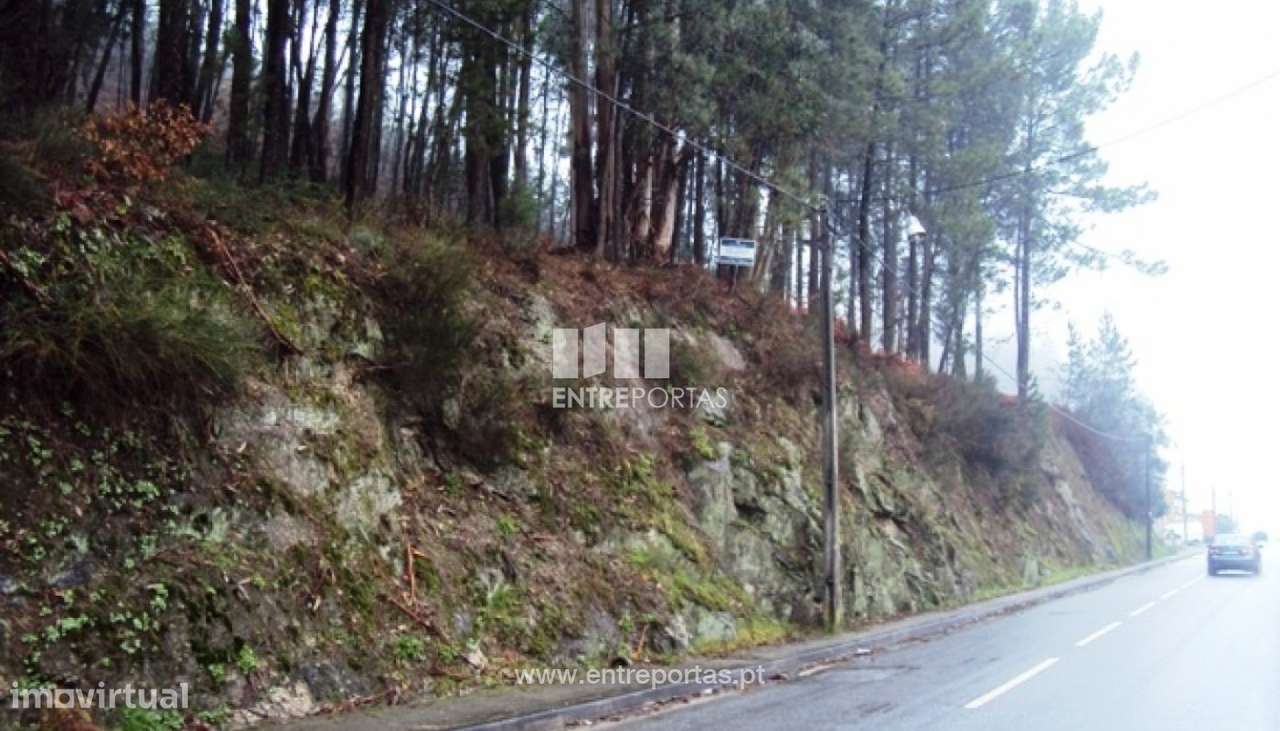 Venda Terreno, Real, Amarante - Grande imagem: 5/6