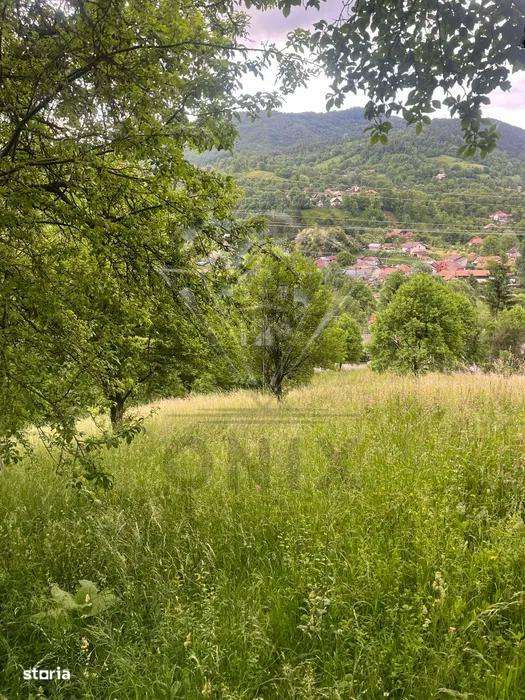 TEREN DE VANZARE VALEA DOFTANEI-2