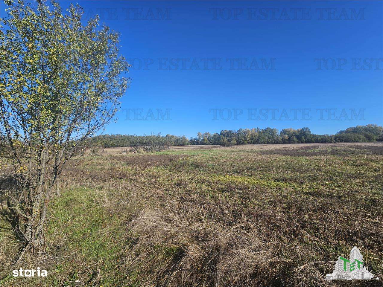 SUPER-PRET Teren 1ha intravilan intre A0, padure si raul Sabar - Imagine principală: 4/6