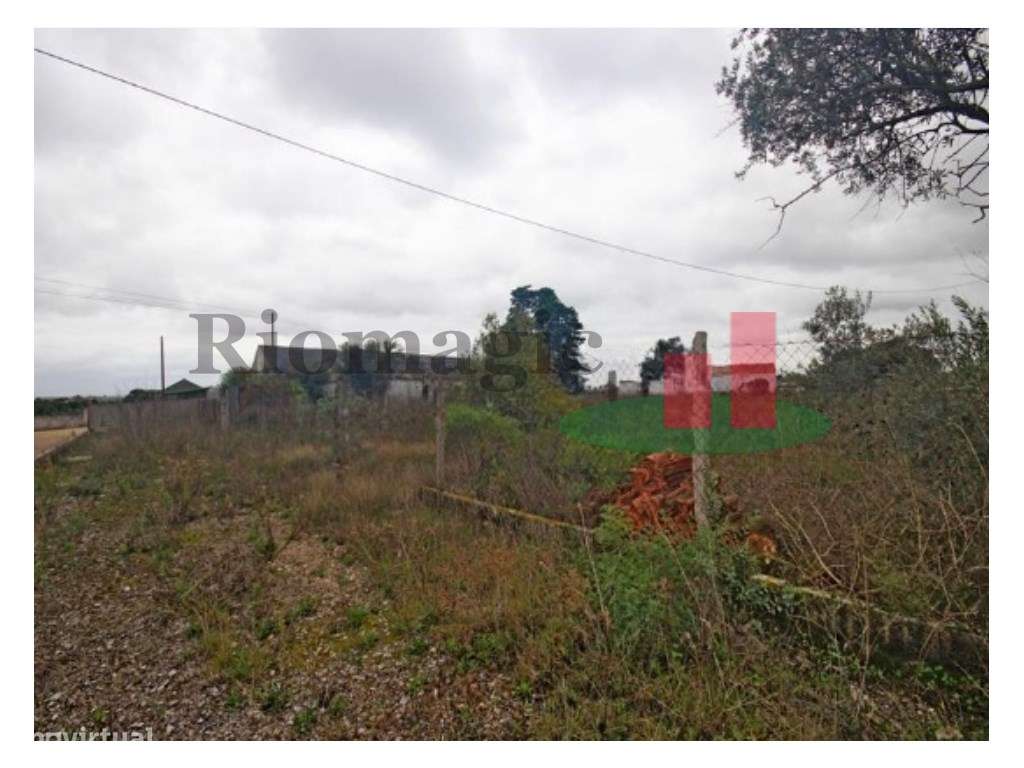 Armazém em Santarém***RIOMAGIC*** - Grande imagem: 4/9