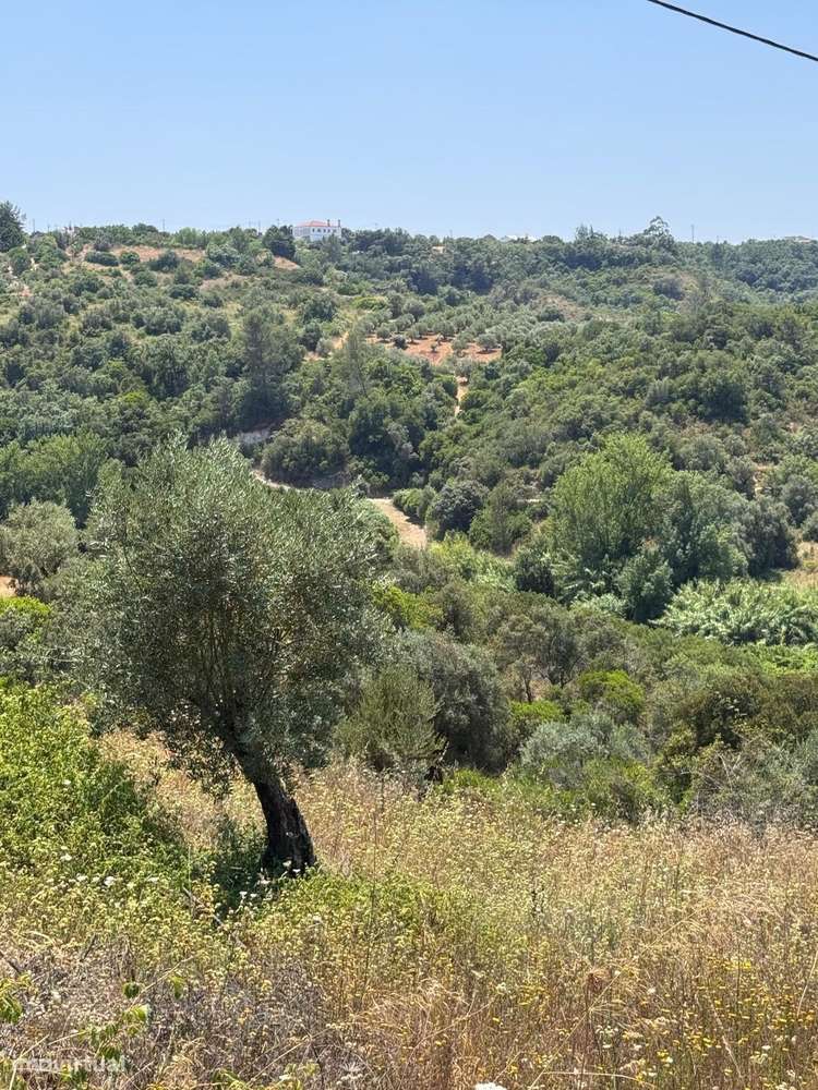TERRENO PARA VENDA EM SANTARÉM - Grande imagem: 5/10