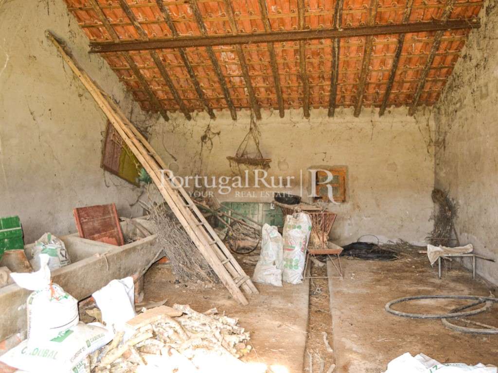 Herdade de 60 ha e monte, em Reguengos de Monsaraz-14