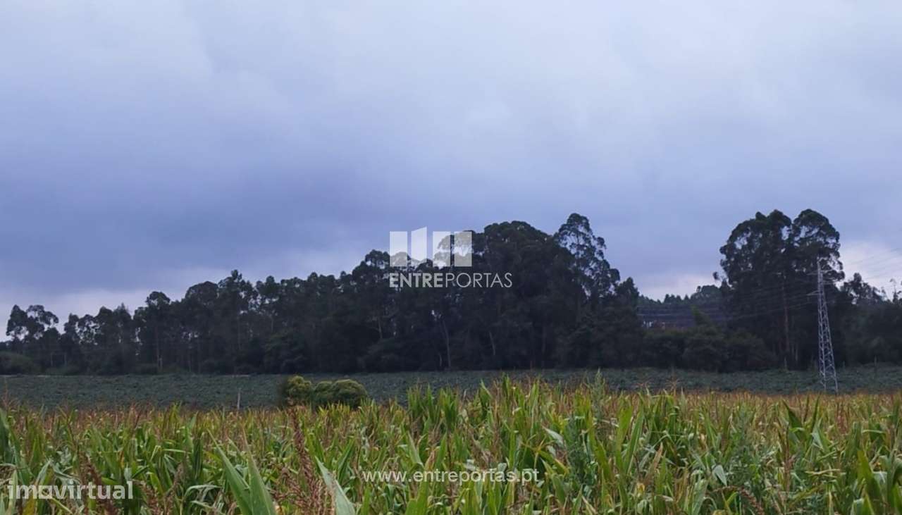 Venda de Terreno industrial com 14 490 m2, Guilhabreu, Vila do Conde - Grande imagem: 4/11