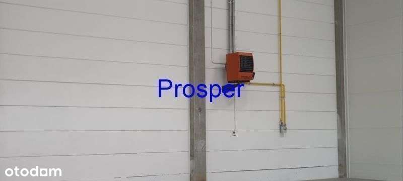 nowe hale/ brama 4,20 x4,20/ wys.8,40m - Pełny obrazek: 4/9