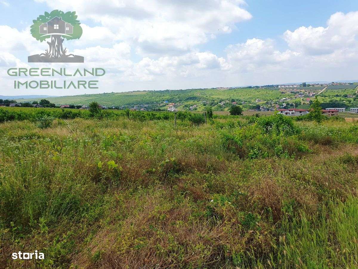 Teren INTRAVILAN 500mp, Bucium-Visan, utilitati, vedere panoranoramica - Imagine principală: 5/7