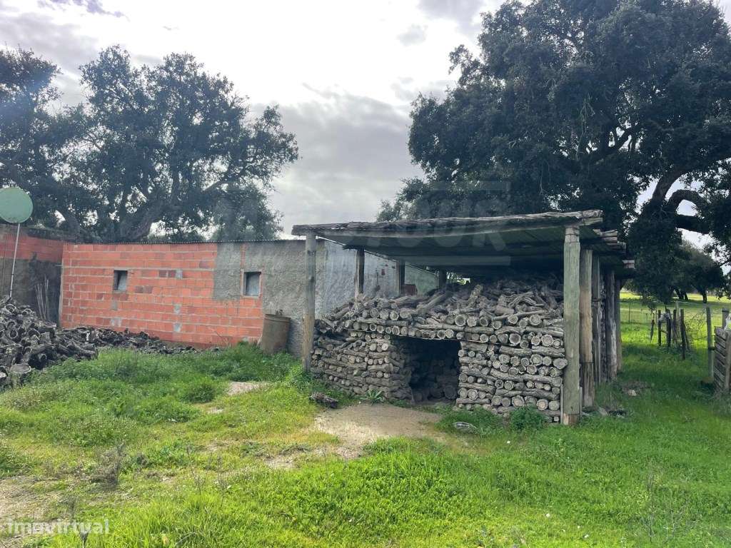 Propriedade Rústica com 11 Hectares junto a Canhestros-7