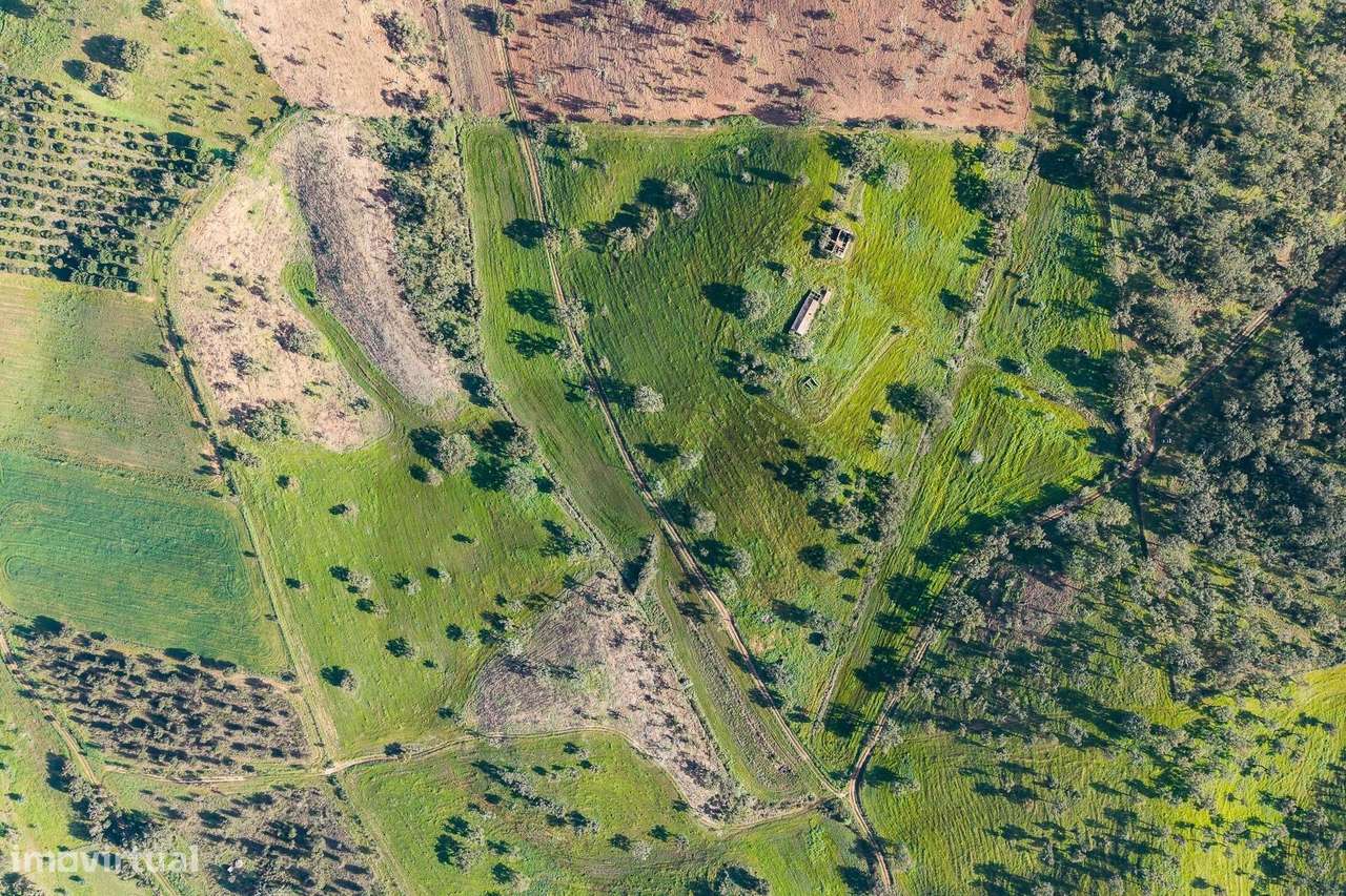 MONTE FERRENHO | PIP INFORMADO | Cercal do Alentejo | Santiago do Cacé - Grande imagem: 2/50