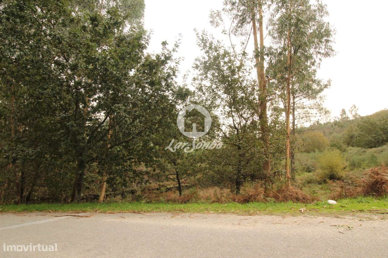 Terreno com 22.500m2 área S. Gens Fafe - Grande imagem: 4/4