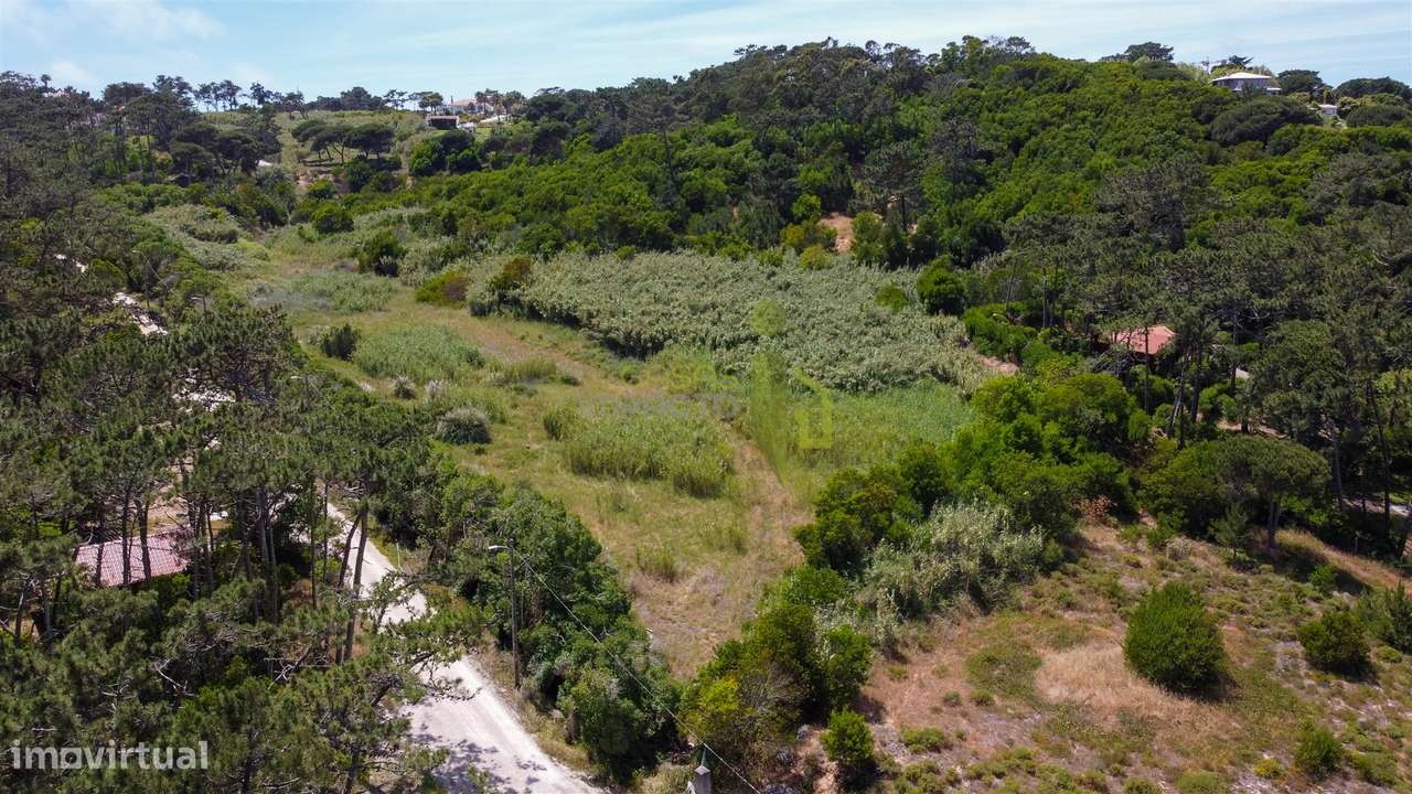 Terreno Rustico com 3.000m2 em Colares-17