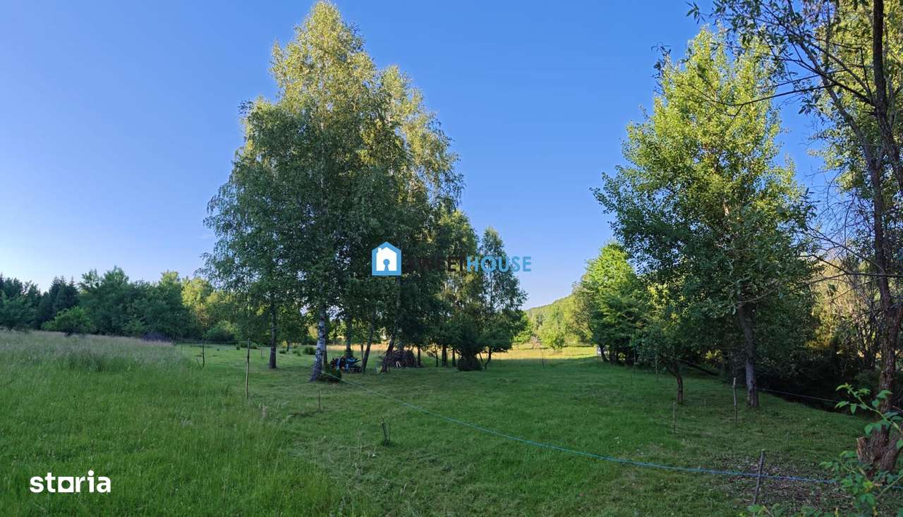 TEREN DE VANZARE DEJANI ZONA TURISTICA - Imagine principală: 4/6