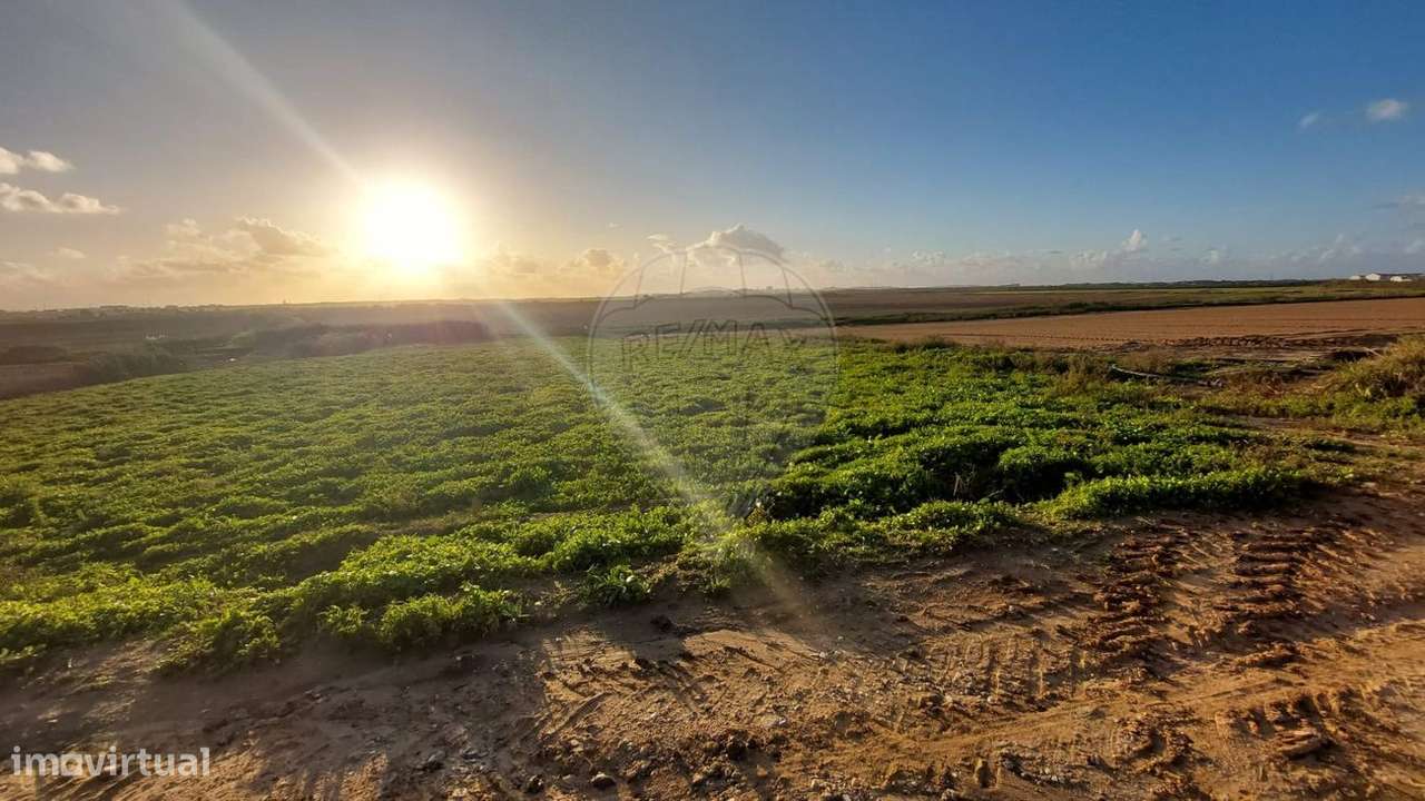 Terreno  para venda - Grande imagem: 3/3