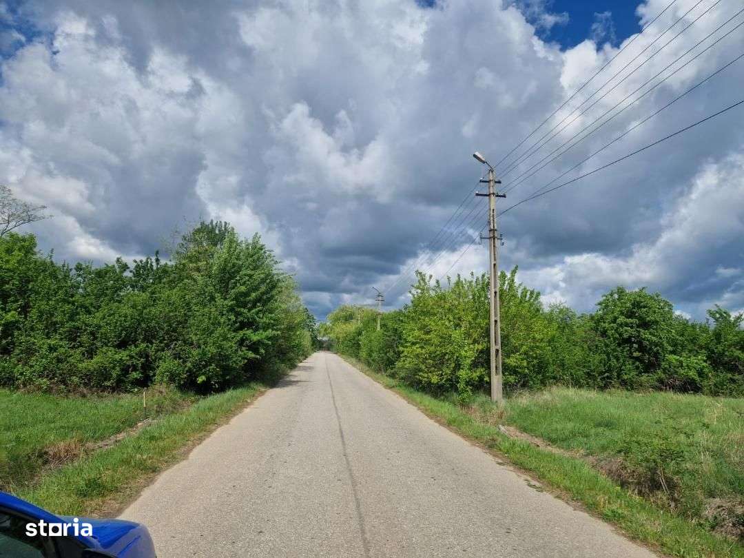 Teren intravilan Cocu Arges-7