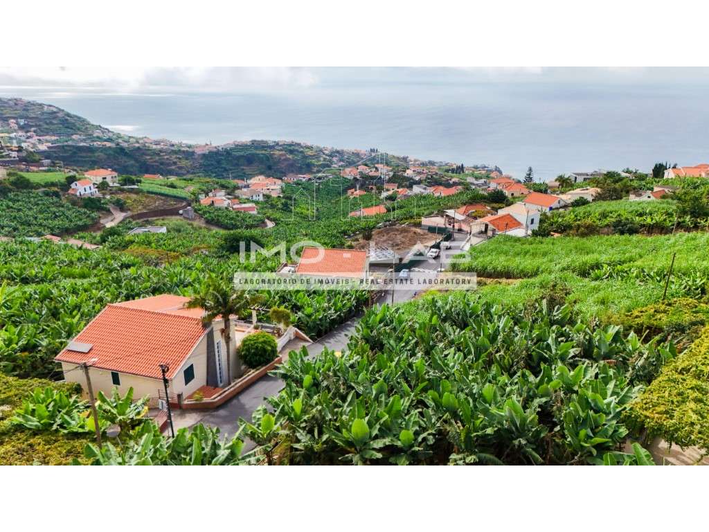 Terreno com 430m2 - Ponta do Sol-13