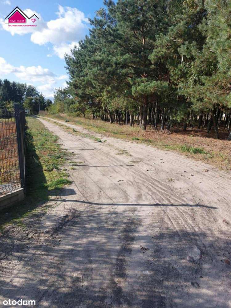 Działki przy lesie, 300m do jeziorem Ślesińskiego - Pełny obrazek: 4/8