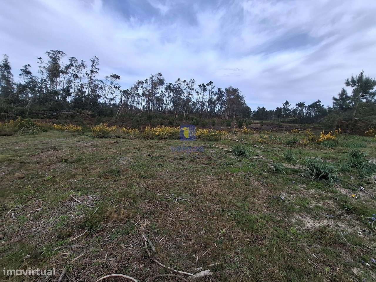 Terreno urbanizável com 6.871m² no Coimbrão, Leiria, próximo de praias-10