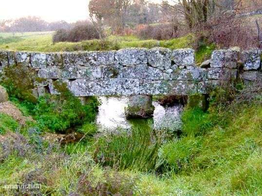 Quinta de 60 ha – Um refúgio natural com potencial ilimitado - Grande imagem: 5/12