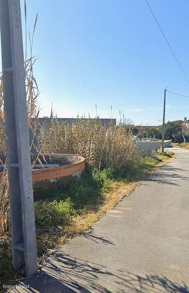 Terreno Rústico de Excelência no Troviscal – 1.836,52 m² - Grande imagem: 3/3