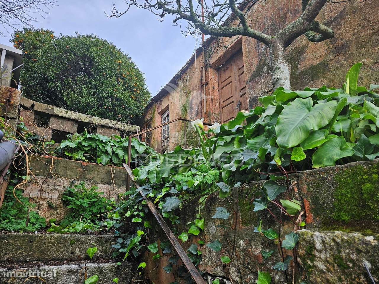 Moradia com terreno - Grande imagem: 2/6