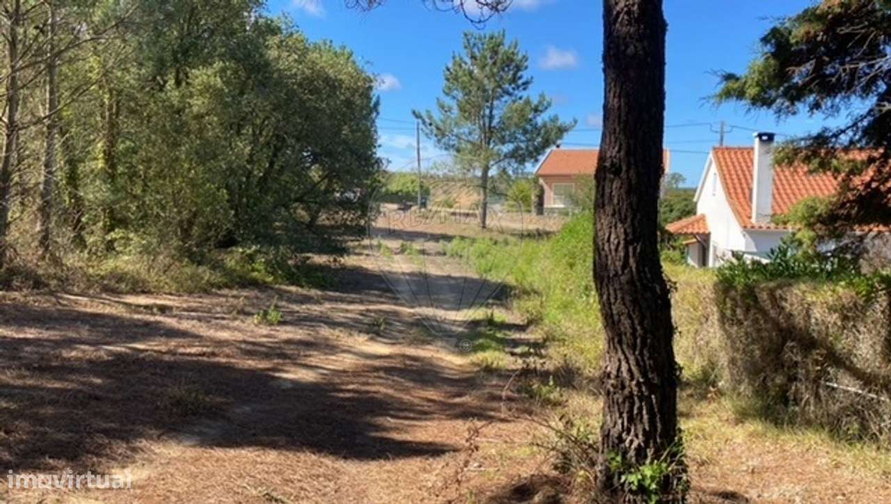 Terreno  para venda - Grande imagem: 5/5