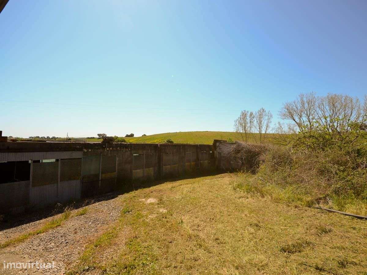 Armazém, Santarém, Póvoa Nova - Grande imagem: 5/11