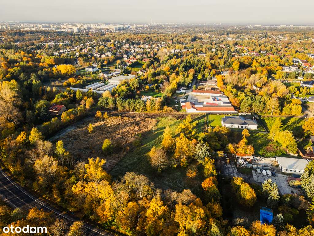 Nic tylko się budować! - Pełny obrazek: 4/15