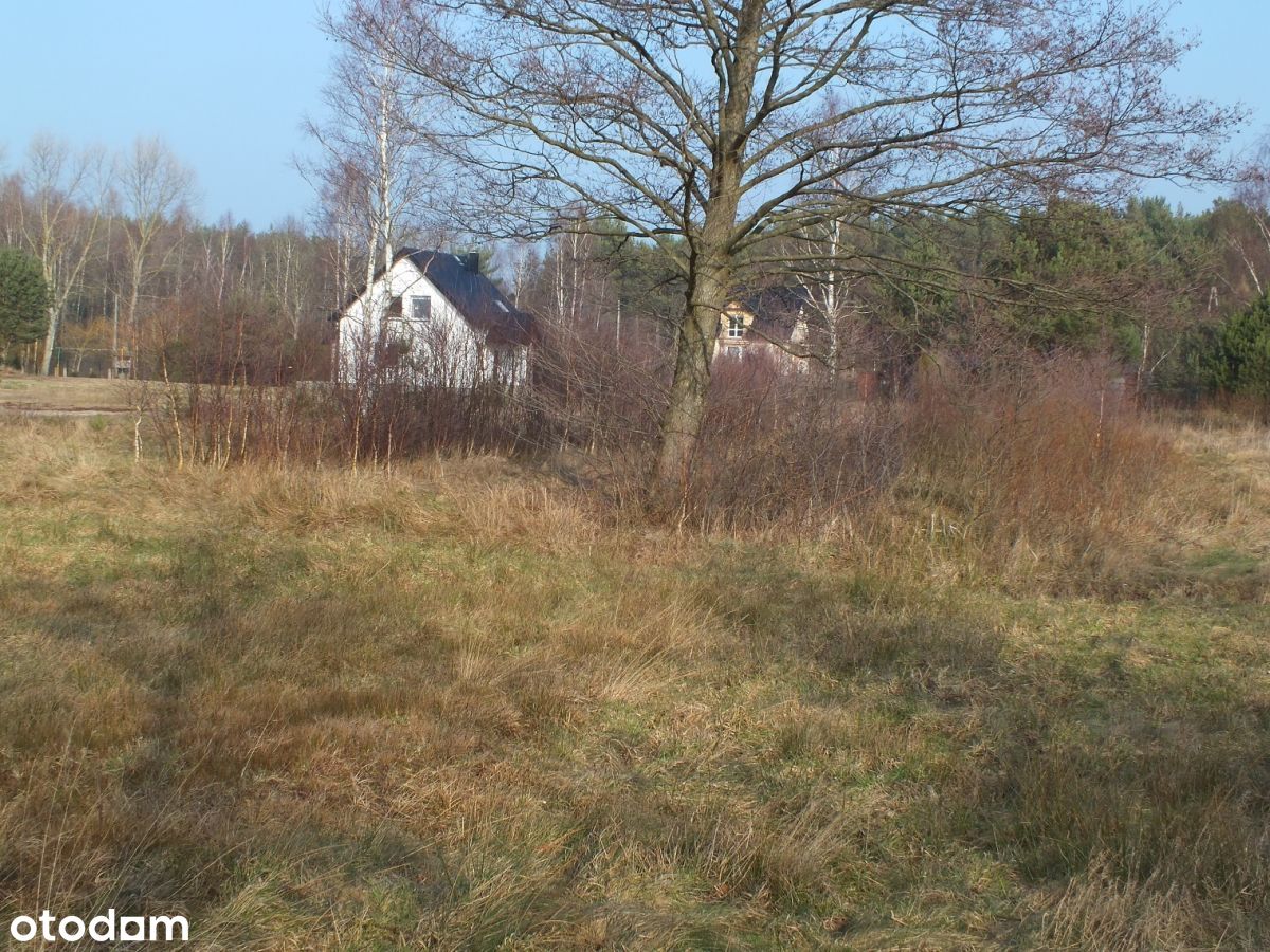 Działka, 3 014 m², Wrzeście