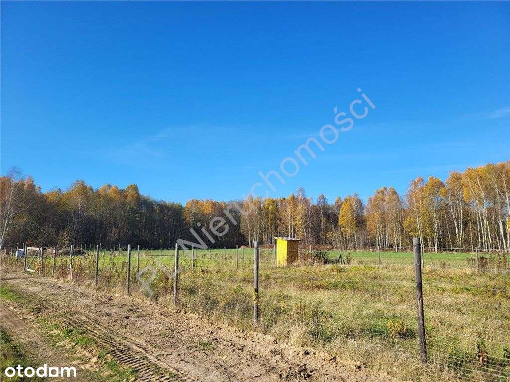 Malownicza nieruchomość - piękny widok-6