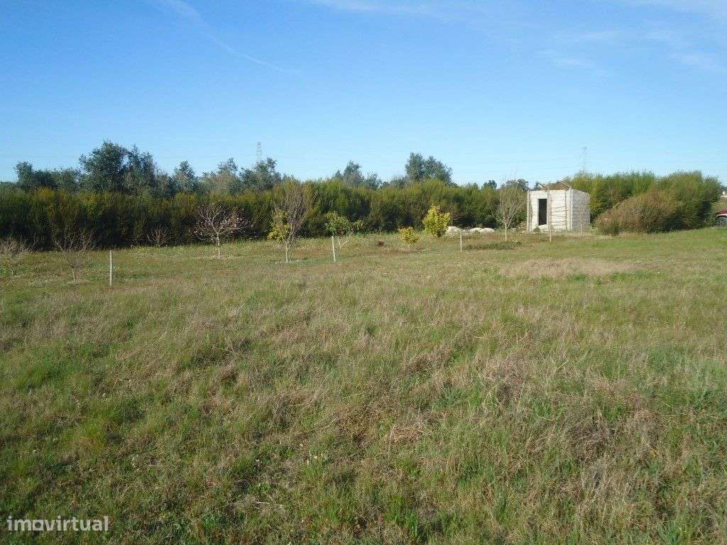 Palmela Terreno rústico com 6150 m2 vedado. - Grande imagem: 2/8