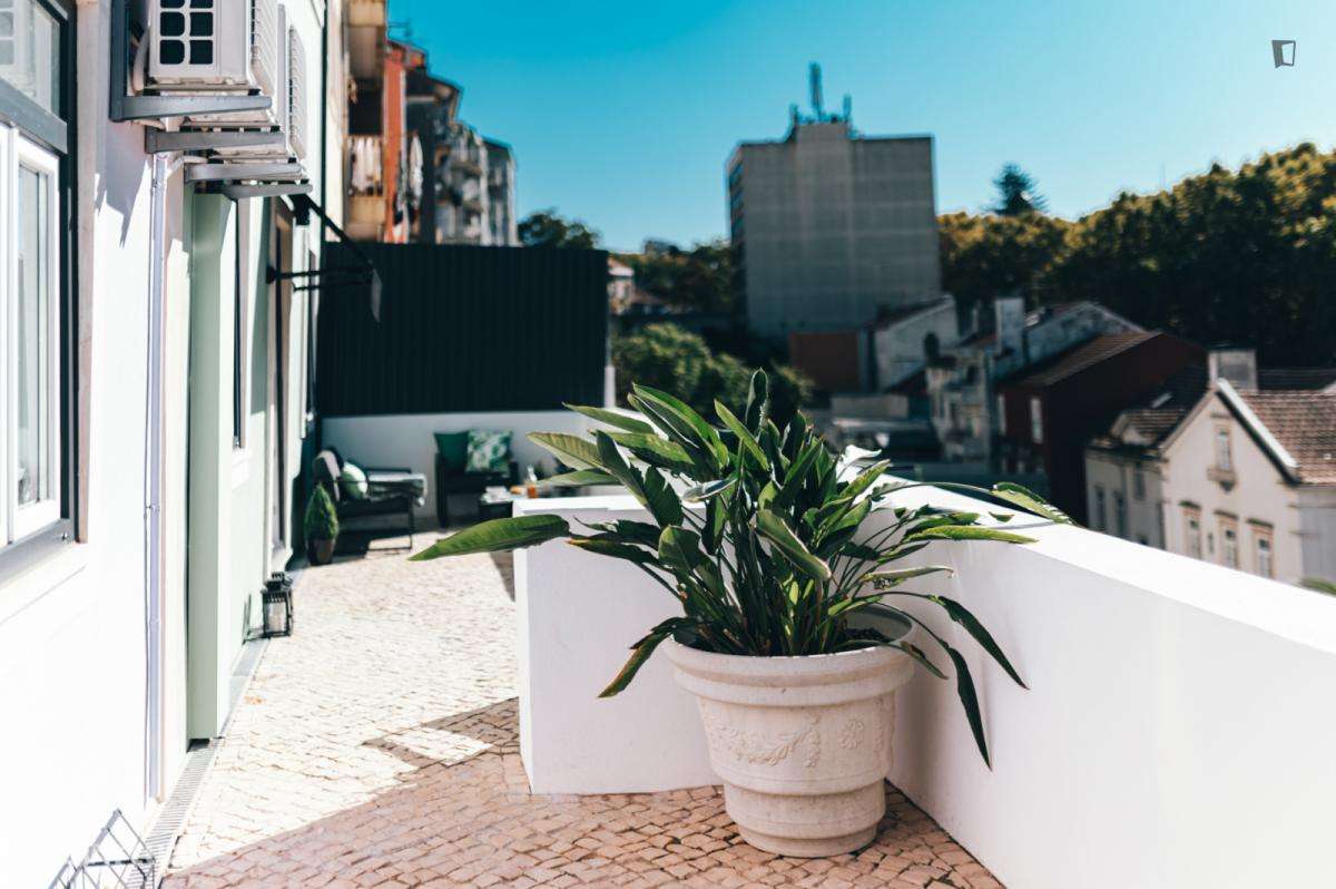 Estúdio - localizado em Montes Claros Coimbra - Grande imagem: 5/6