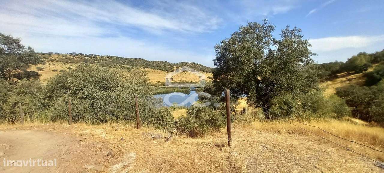 Magnifica Quinta com vista para o Rio Guadiana-24