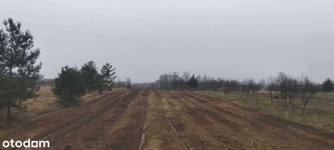 Piękna działka rolno budowlana w Ninkowie - Pełny obrazek: 5/6