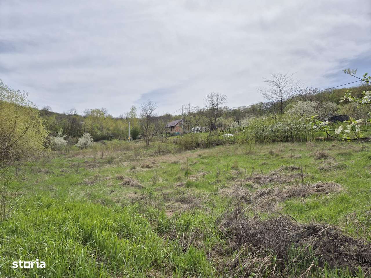 Teren intravilan, 5000 mp, 35 euro/mp, Vladiceni - Imagine principală: 3/5