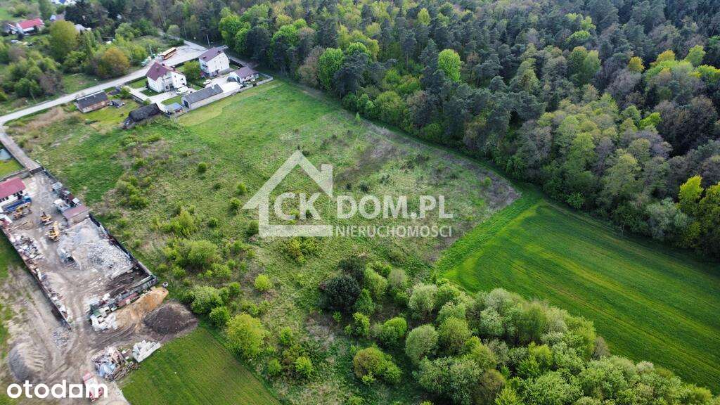 Duża działa Kielce ul. Posłowicka - Pełny obrazek: 5/20