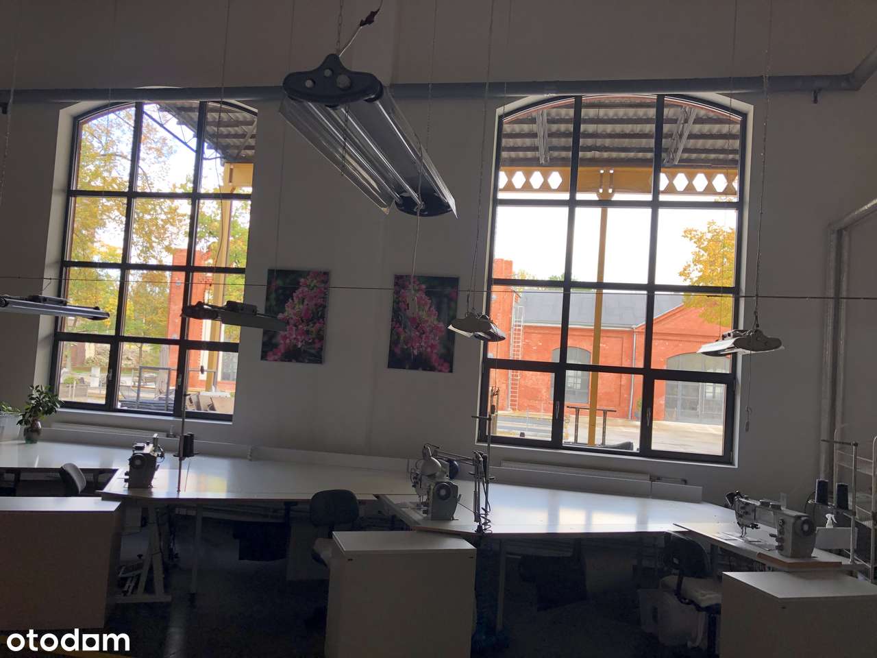 Hala magazynowo-produkcyjna 1000 m2 - Pełny obrazek: 3/18