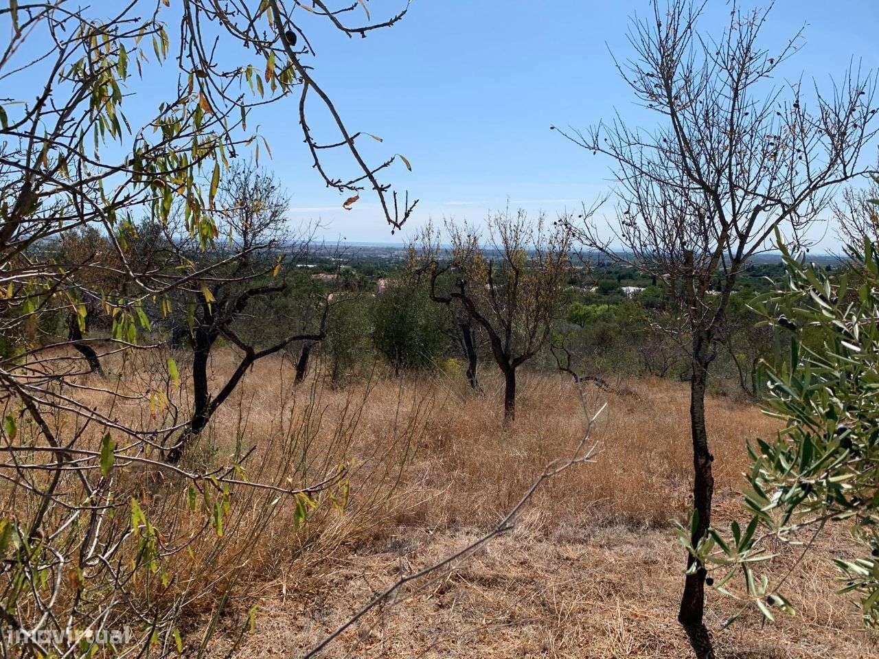 Terreno Urbano, com 3 artigos, Colmeal - Grande imagem: 4/60