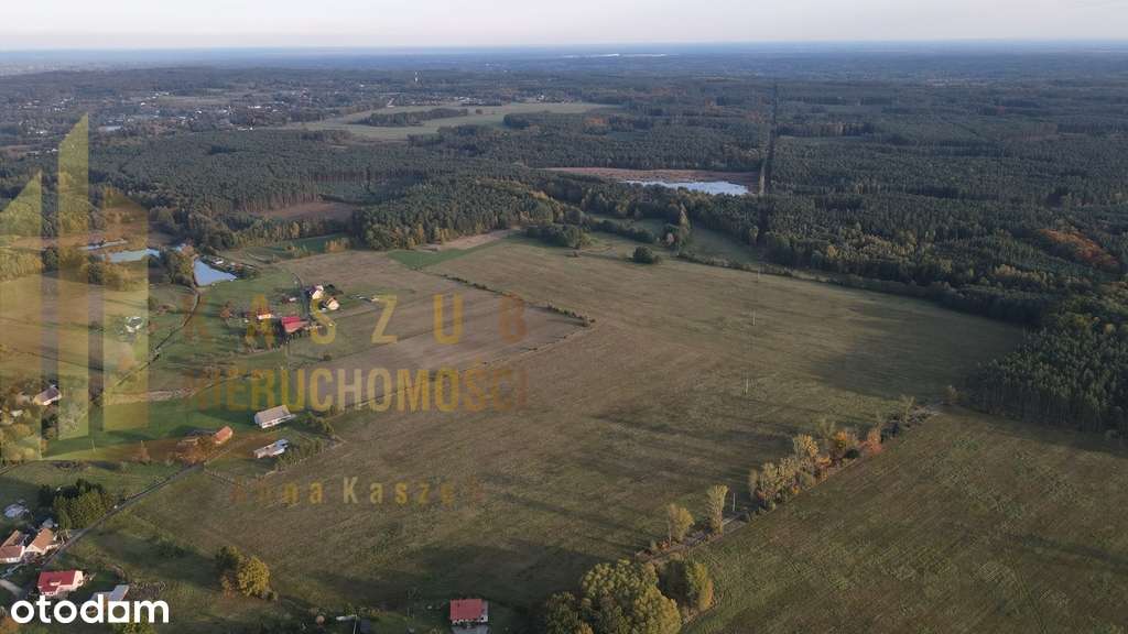 Na sprzedaż kompleks stawów w Miłowicach-8