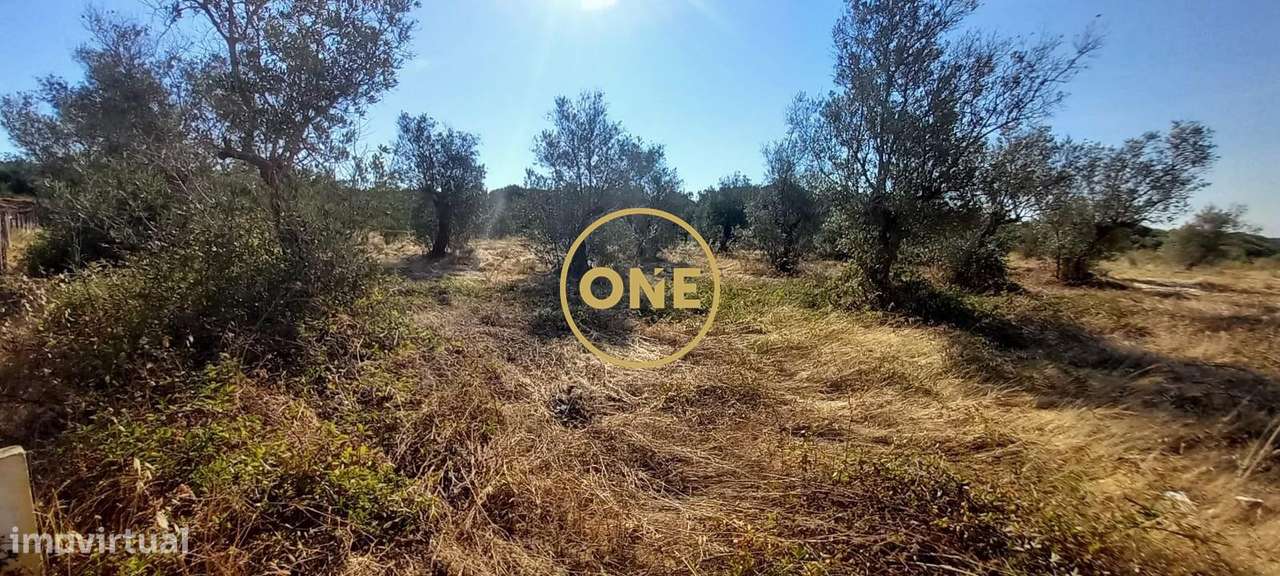 Terreno com 21.960 m2 e viabilidade construtiva | Vila Nova da Barquin-15