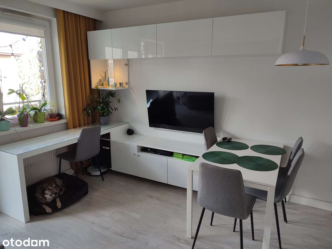 Przestronne i jasne mieszkanie przy ulicy Zwycięskiej - Pełny obrazek: 4/10