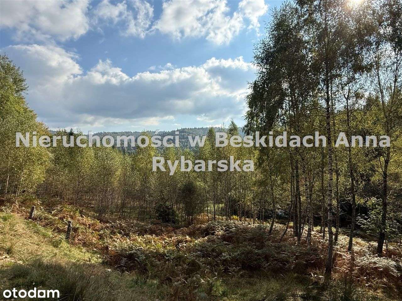 Domki z bala w Beskidzie Małym -nowa cena-7