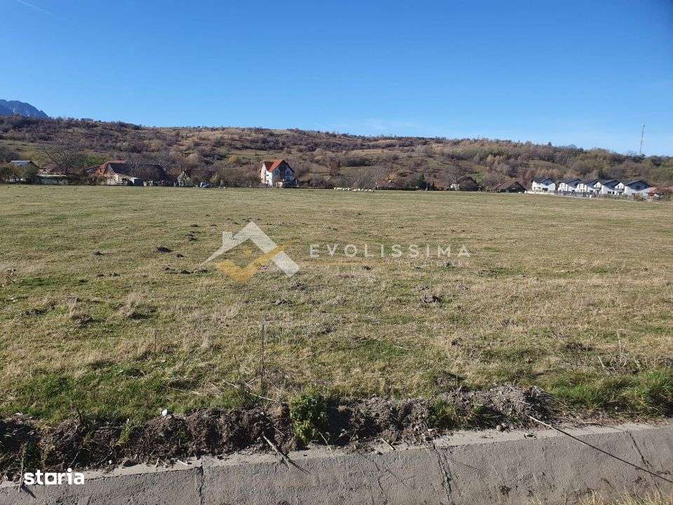 Teren intravilan 10.600 mp Strada Branului - Imagine principală: 4/4