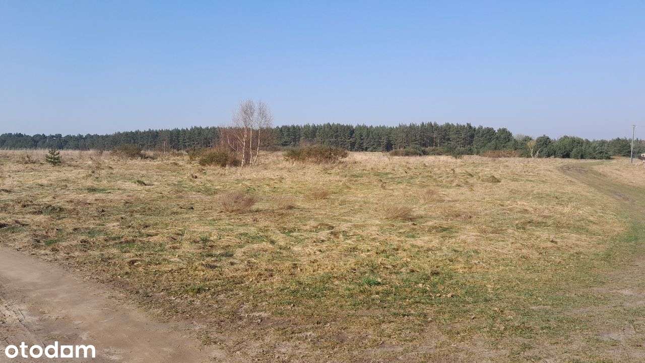 Działka budowlana Sasino, MPZP, ul. Stara Cegielnia / Na Wzgórzu - Pełny obrazek: 4/7