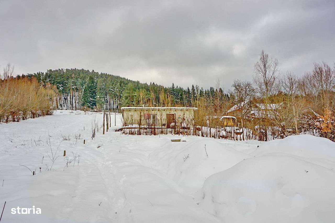 Teren Intravilan - Pretabil Dezvoltare Rezidentiala - Imagine principală: 1/11