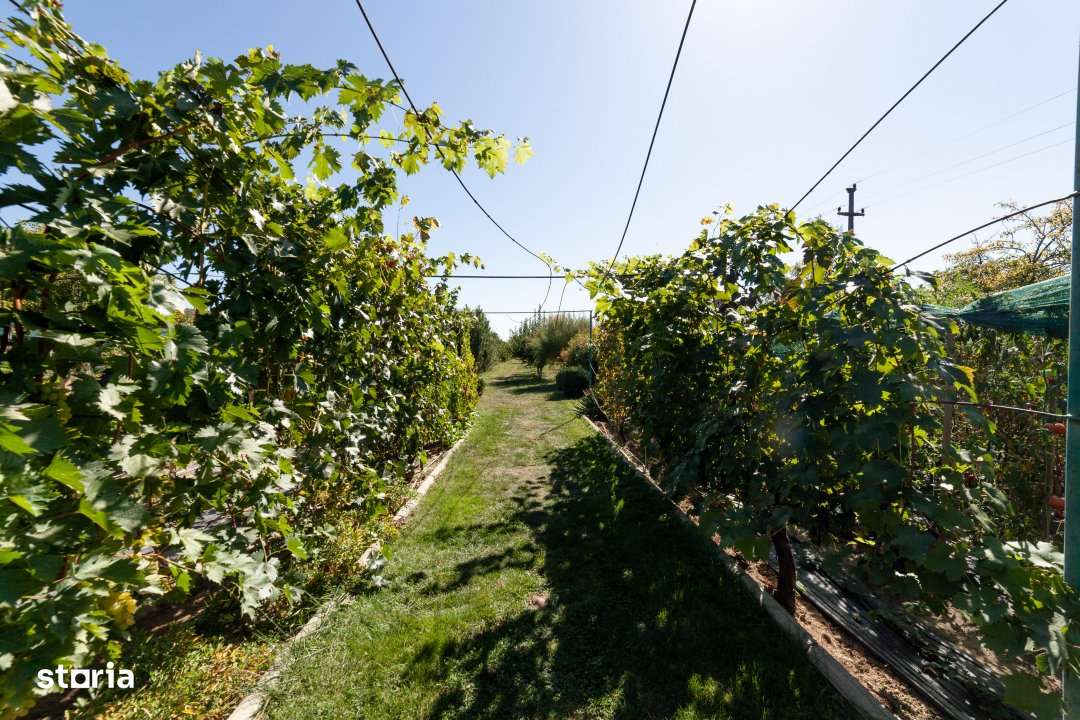 Casa visurilor cu livada roditoare si gradina amenajata Darmanesti-Arg - Imagine principală: 4/19