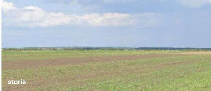 Teren extravilan Cocorastii Colt ; ID: R2710069 - Imagine principală: 1/10