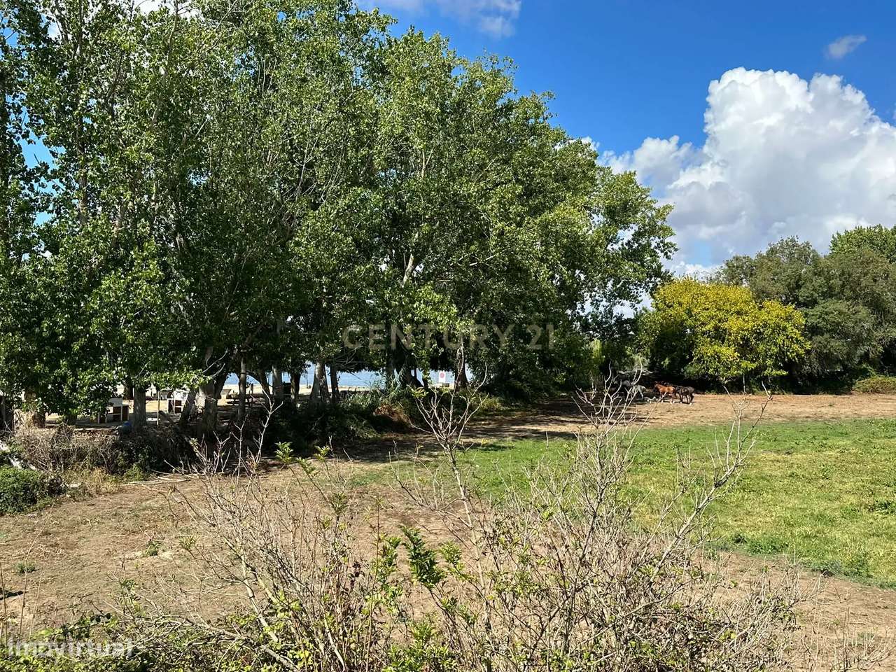 A sua nova casa em Santarém — em obras e pronta para ser personalizada-30