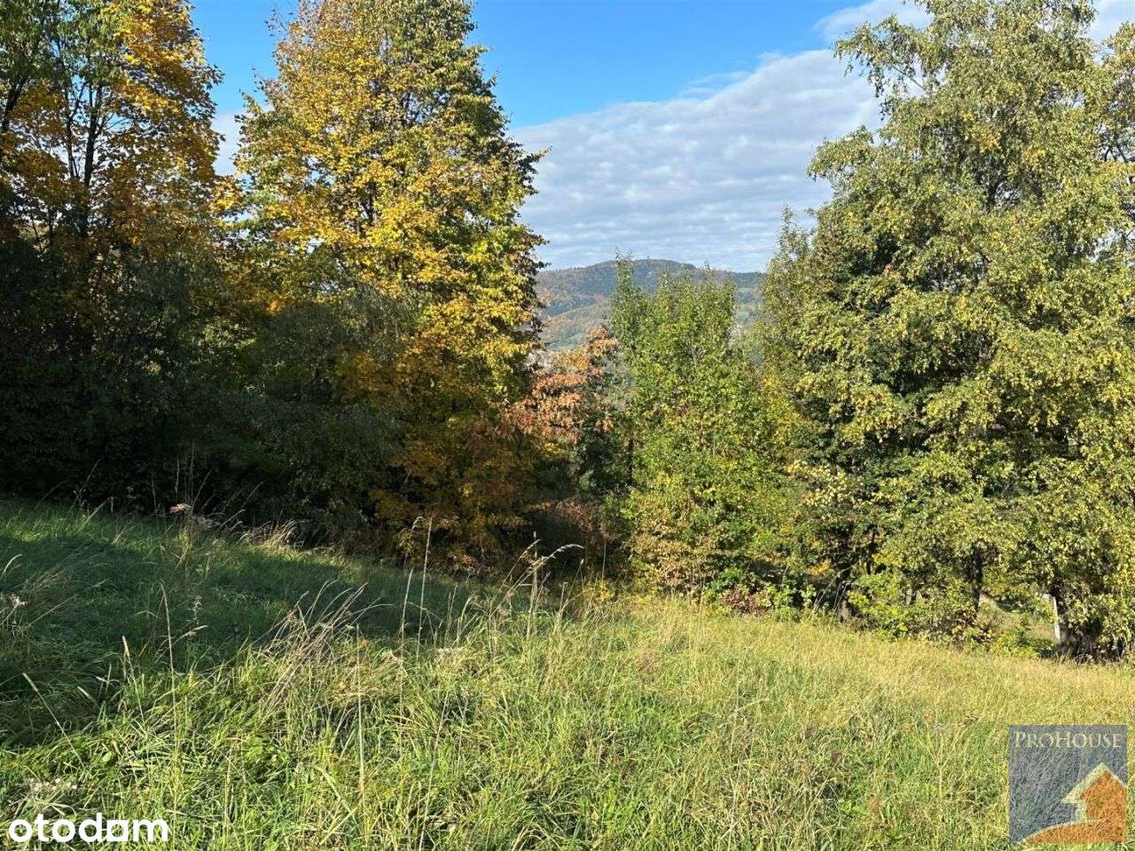 Działka, 1 244 m², Laskowa-17